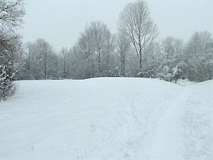 Sneeuw strijkt neer buiten Friesland