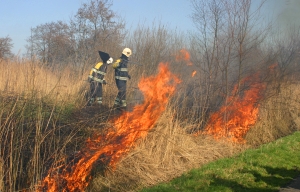 Twee keer brand in natuur Westerein - Waldnet