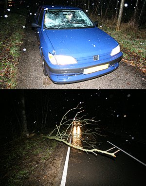 Auto tegen omgevallen boom