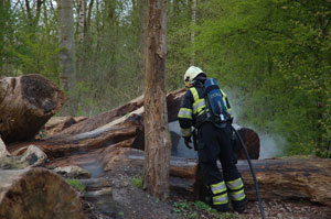 Dokkum: weer brand in boomstammen