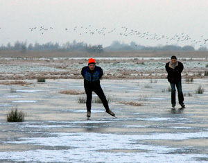 Wetterskip belooft mooi ijs in polder