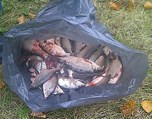 Vissers bekeurd om levende vis in zak