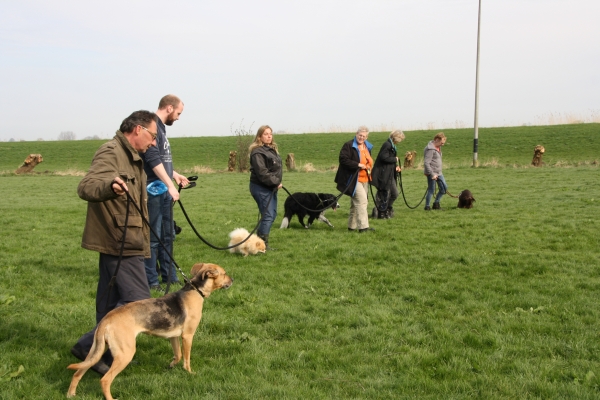 Provincie Fryslân zet hondenscholen op straat