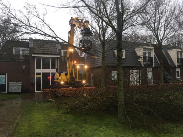 Acht bomen omgezaagd door storm op Schiermonnikoog