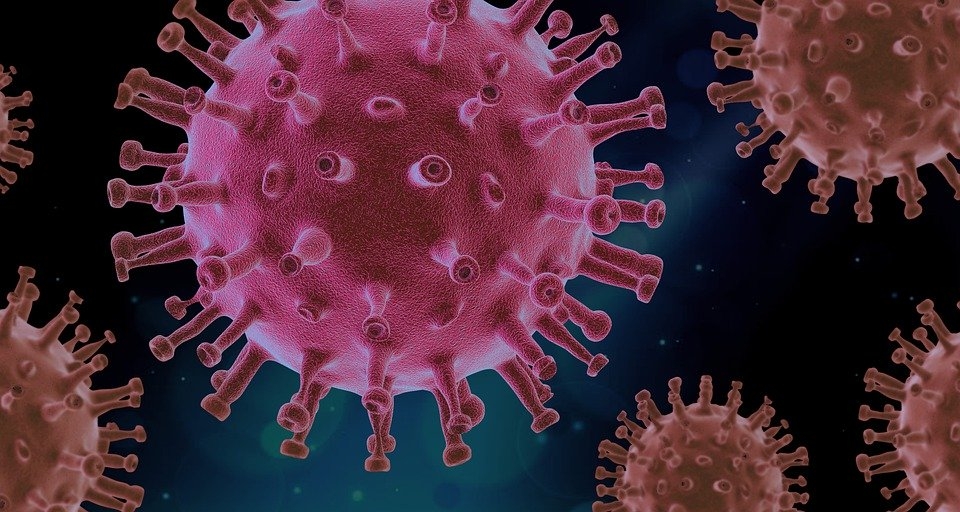 Coronavirus: 0.75 op 100 tests is positief