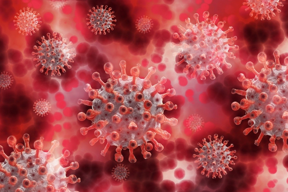 Coronavirus: infections have increased slightly