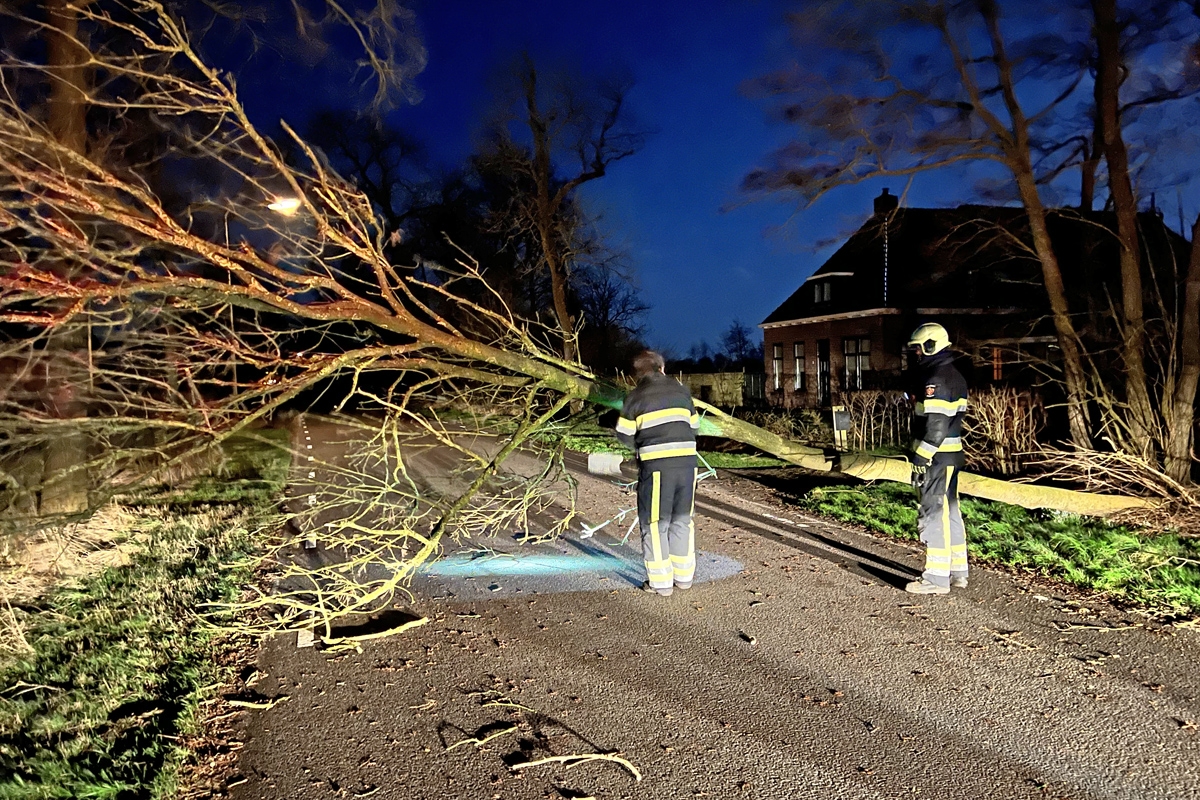 Omgevallen boom verspert Joost Wiersmaweg