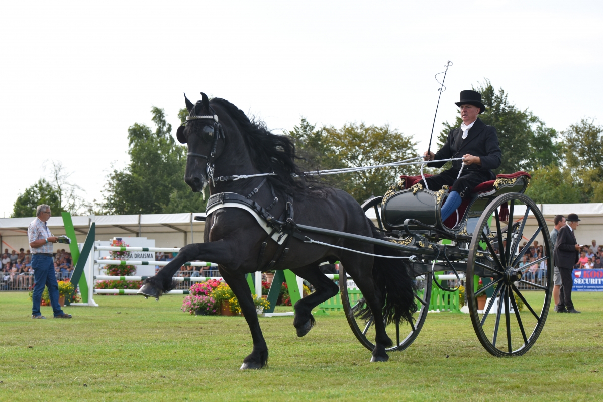 Concours Hippique Buitenpost krijgt editie als vanouds