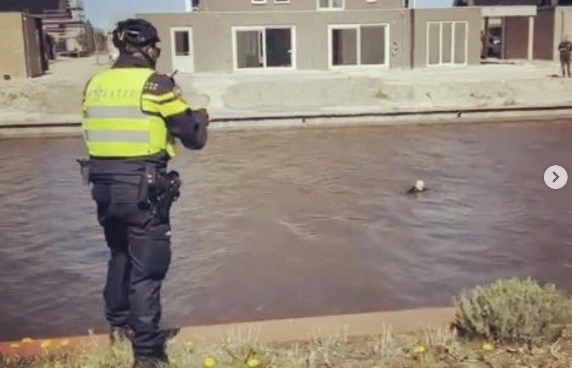 Scooterrijder springt in water bij vlucht voor politie