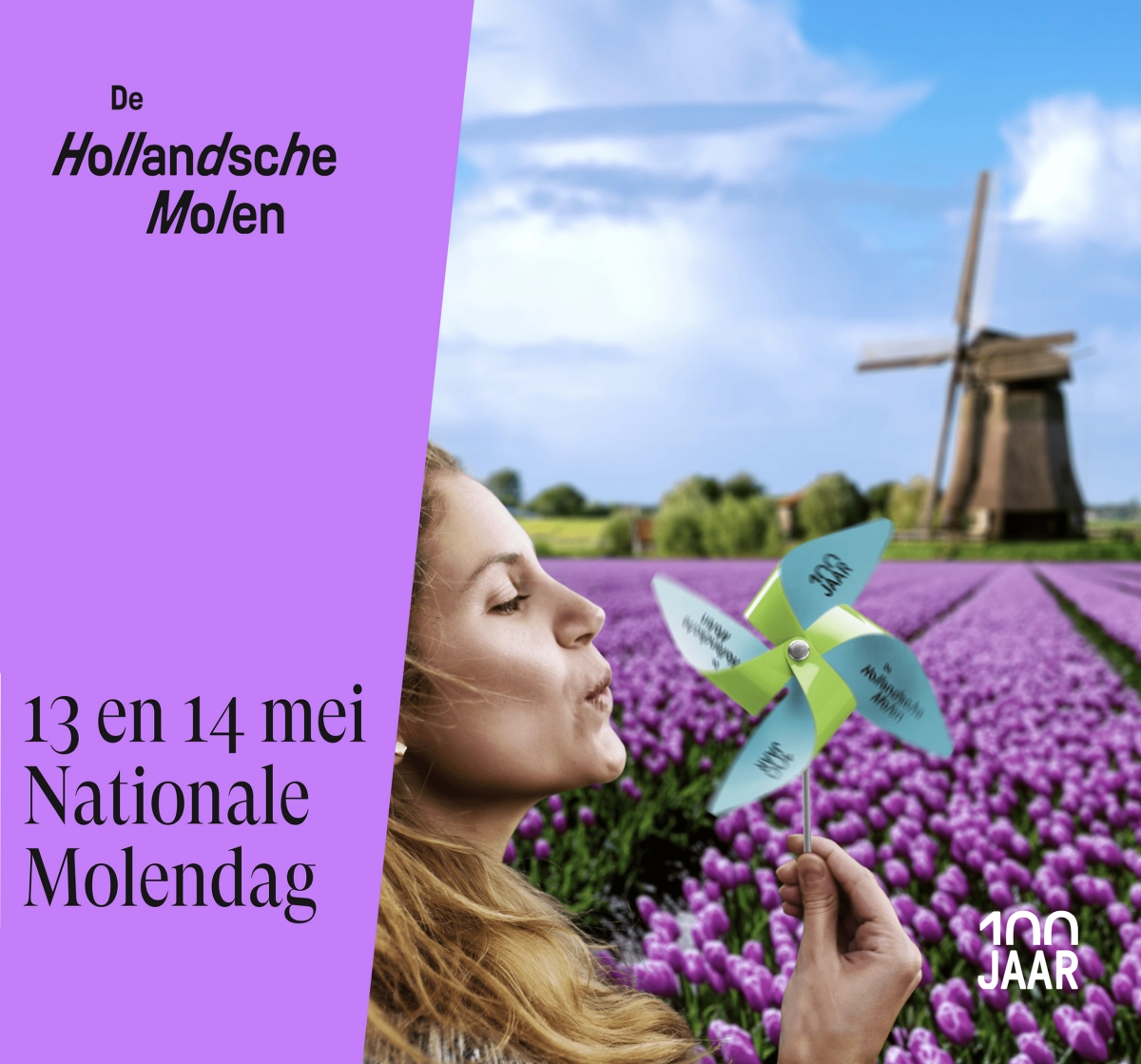 Molens in Noardeast-Fryslân open tijdens Nationale Molendag