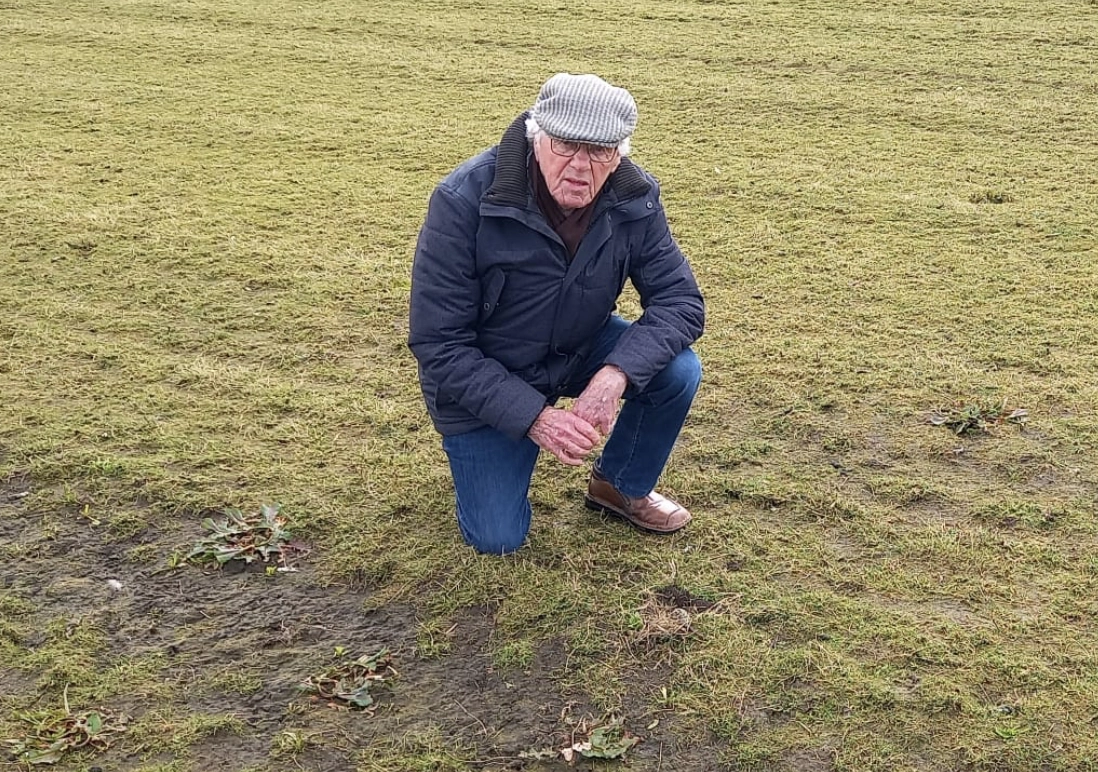 Jan Holwerda (88) vindt 'laatste kievitsei' van Friesland