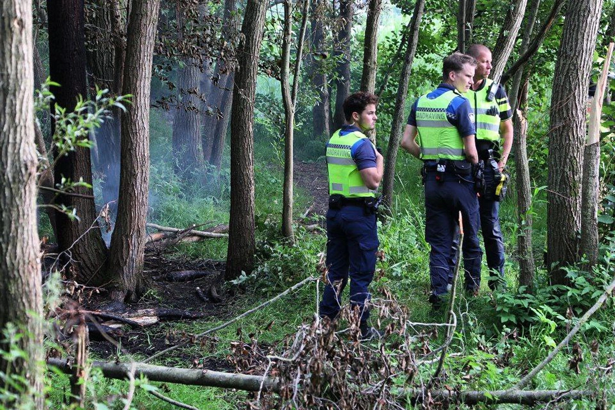 Verdachte aangehouden voor brandjes in De Wilgen