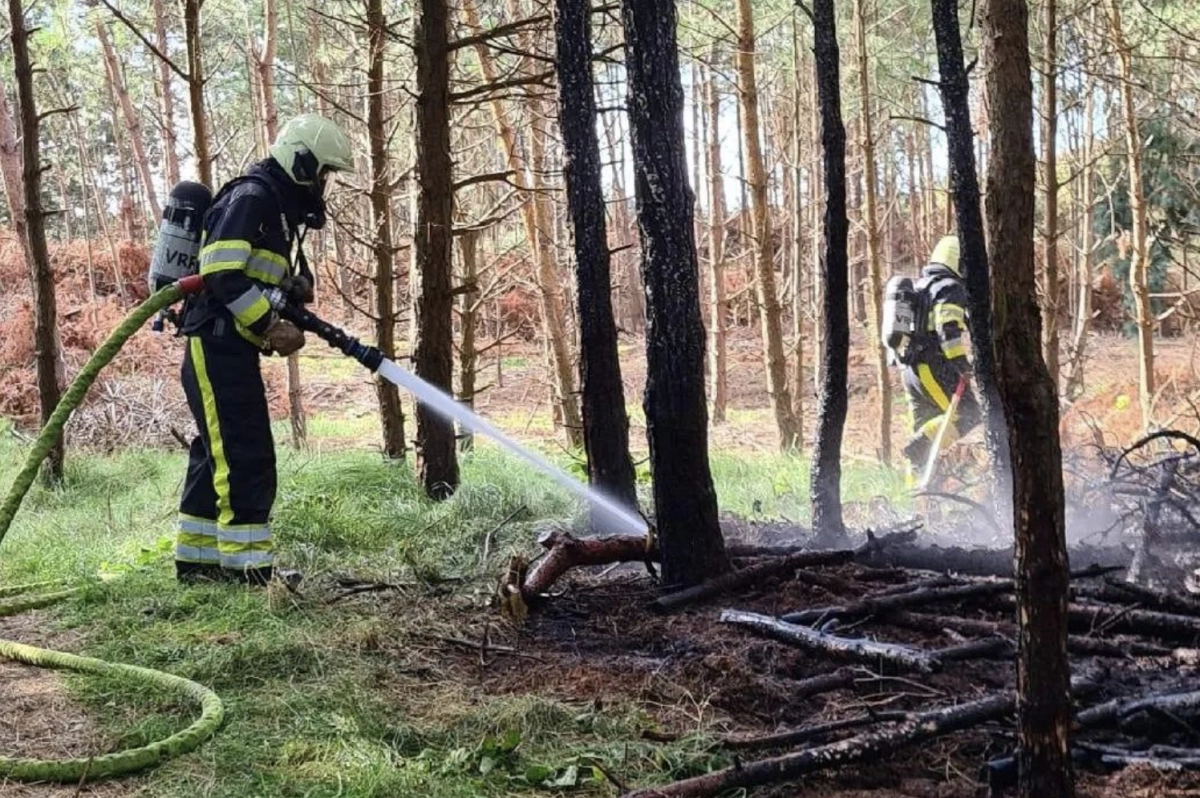 Bosbrandje in recreatiegebied De Vleijen door weggegooide peuk