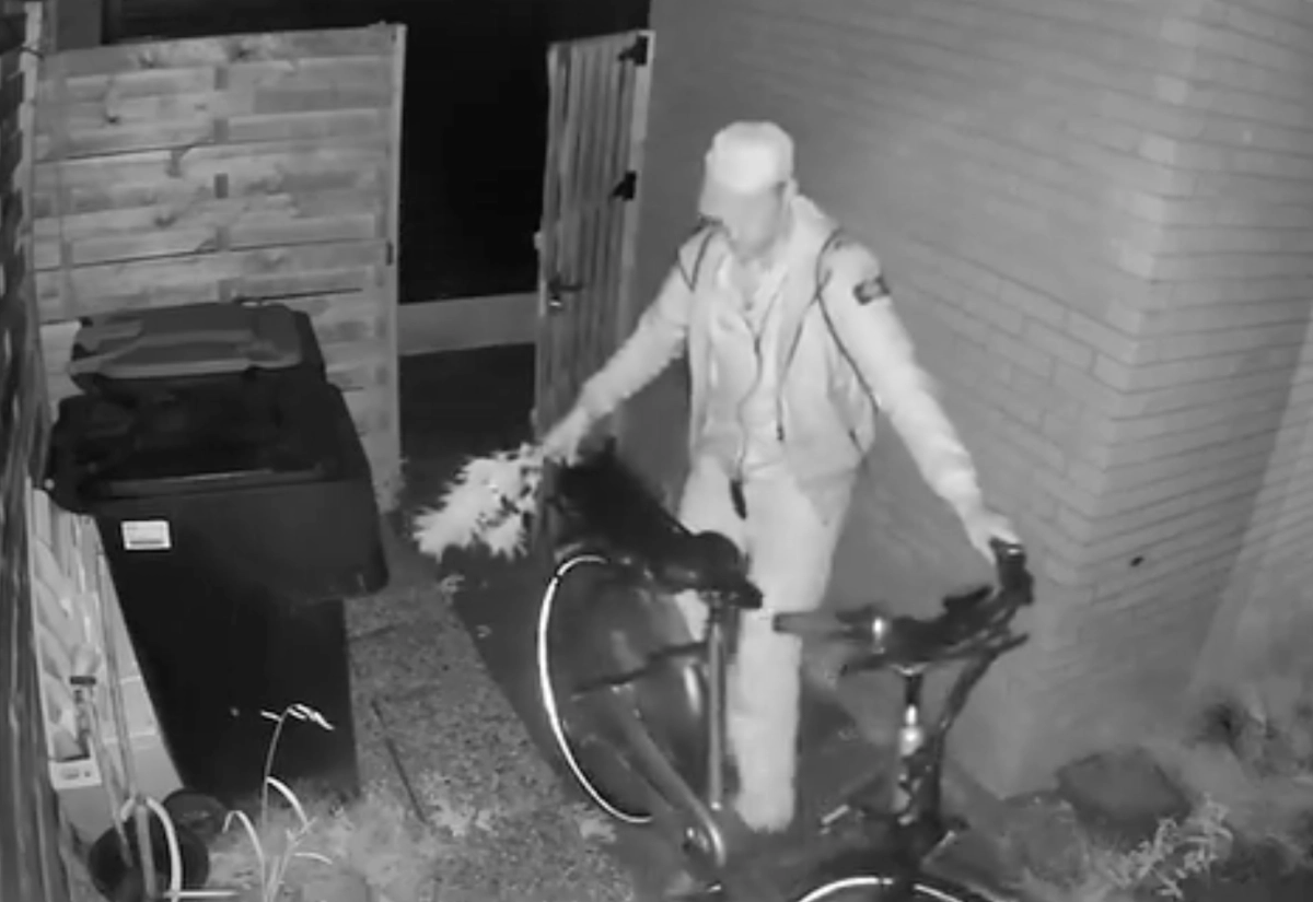 Fietsendief gefilmd (met hennep?) in Dokkum