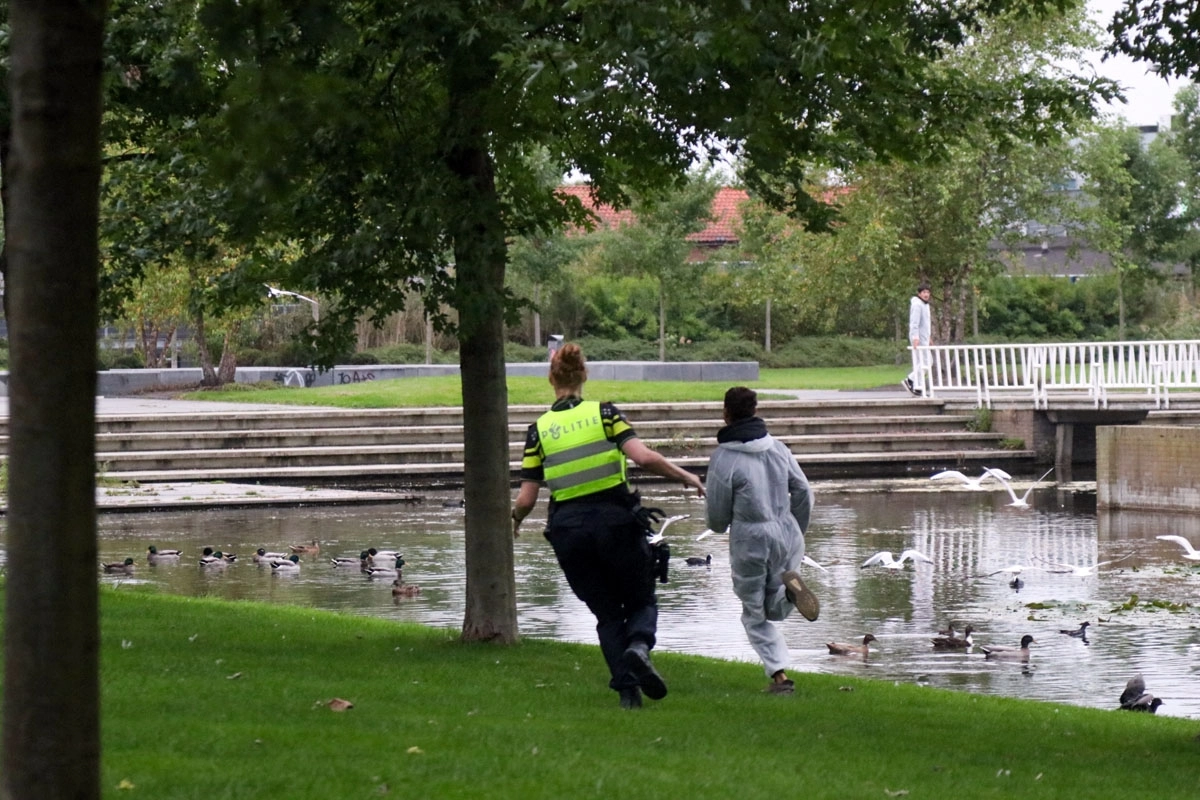 Jachtseizoen Drachten komt terug