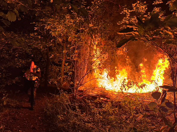 Bossages in brand langs parkeerterrein De Vonken