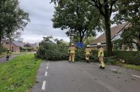 Grote tak waait over Foarwei in Kollumersweach